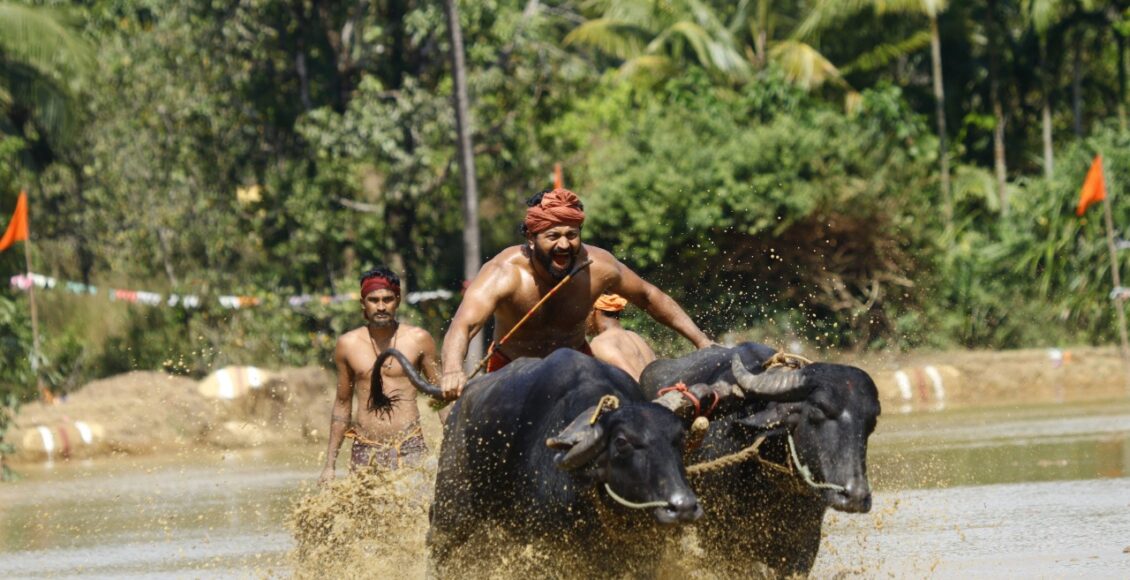 WhatsApp Image 2022-10-26 at 14.42.26